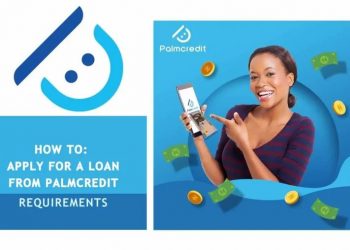 How To Borrow Loan From Palmcredit App