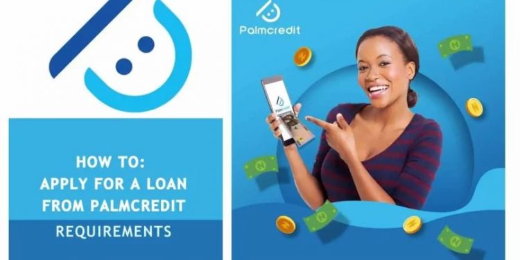 How To Borrow Loan From Palmcredit App