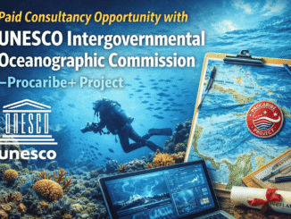 Paid Consultancy Opportunity with UNESCO