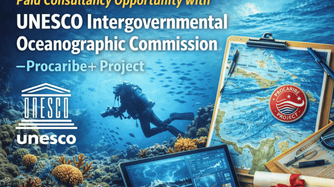 Paid Consultancy Opportunity with UNESCO