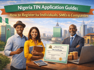 Nigeria TIN Application Guide